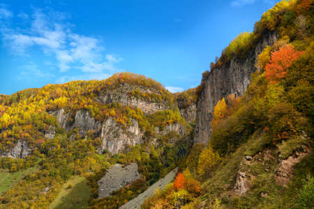 Bright multi-colored autumn trees cover slopes of the Georgian mountainsの写真素材