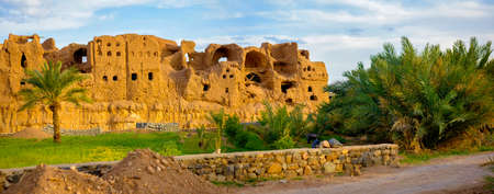 abandoned pise-walled village in a palm grove, a desert part of Iranの写真素材