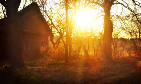 Old lonely village at sunset, Belarusの写真素材