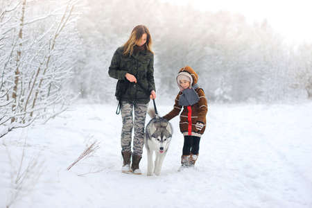The happy family walks with a dog huskies in beautiful to the snow wood.の写真素材