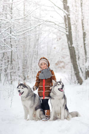 The joyful girl with two dogs huskies in beautiful to the snow wood. Trees in snowの写真素材