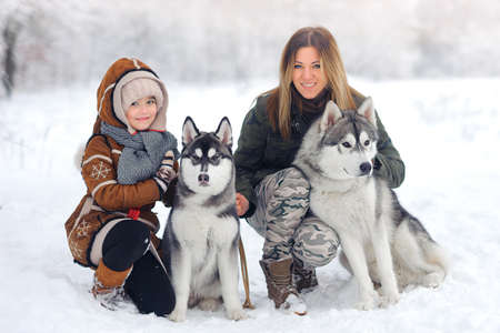 happy family in the winter wood plays huskies with a dog. Beautiful snow wood. Winter holidaysの写真素材