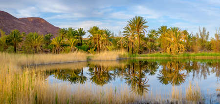 The small lake located in a palm grove, nearby mountains of darkly claret colorの写真素材