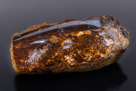 Semiprecious stone Amber, the pitch connected with coniferous vegetation. It is applied in production of jewelry.の写真素材