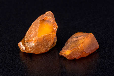 Semiprecious stone Amber, the pitch connected with coniferous vegetation. It is applied in production of jewelry.の写真素材