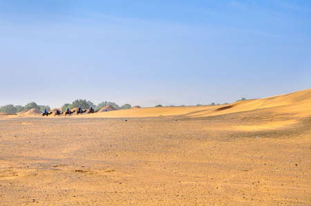 caravan of camels goes to the desert, Sahara Desert dunes in bright sunny dayの写真素材