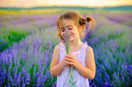 Girl with funny braids collects bouquet in lavender field, holding and smell the lavender flowersの写真素材