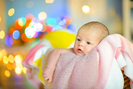 beautiful newborn baby lies in a basket on a soft blanket, in the background festive lights
の写真素材