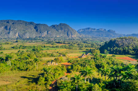 Vineales, countryside, Cuban tobacco farmの写真素材