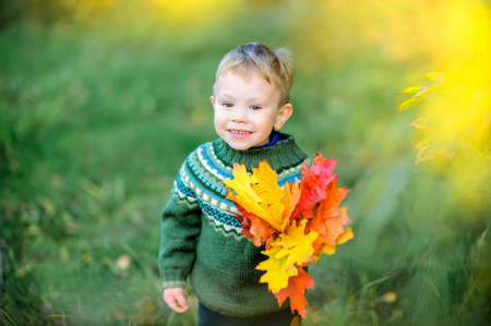 little boy walks in autumn park with a beautiful bouquet of foliage, smiling and looking at the cameraの写真素材