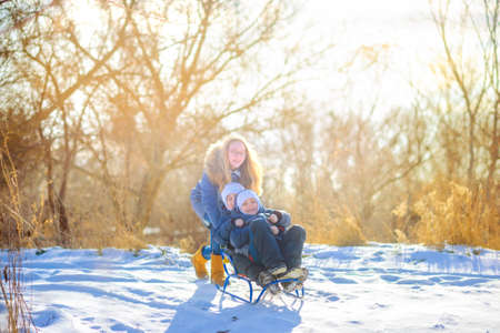 children playing in the winter forest at sunset, sledging and having funの写真素材
