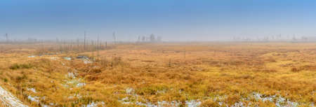 wilderness, field covered with frosts and first snow, weatherの写真素材
