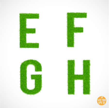 Set of font  E, F, G, H  uppercase with grass textured isolated white background, vector illustration のイラスト素材