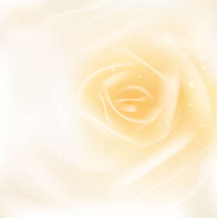 rose or beauty concept smooth backgroundのイラスト素材