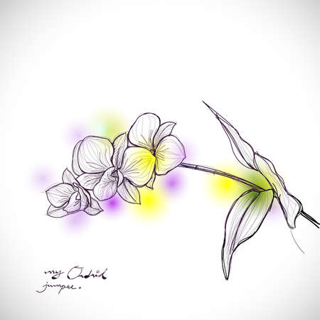 orchid sketch drawing isolated on white background, vector illustrationのイラスト素材