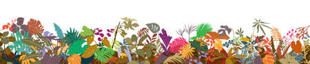 Colorful different Tropical plants horizontal border with branch and leaves isolated on background and space for text. Vector illustrationのイラスト素材