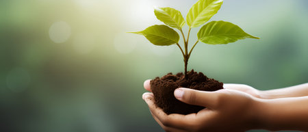 Budding Hope: Hands Holding Young Plant in Lush Green Environment for Eco Earth Day,  and Copy Space Advertisingの素材