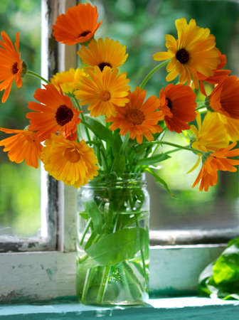 Village still life - closeup of orange flowers on window-sill. Calendula Officinalis L.の写真素材
