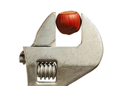 Hardness - closeup of hazelnut in the grip (captured by wrench). Isolated on white background.の写真素材
