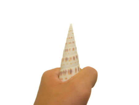 An isolated photo of a hand carrying a unique shell
