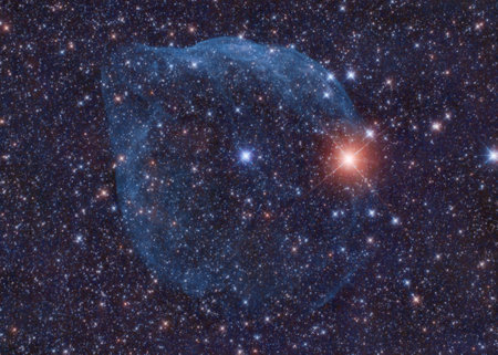 Dolphin Nebula