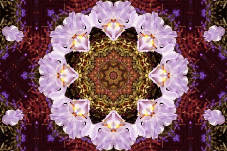 Abstract background with flowers of Iris