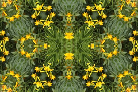 abstract background with yellow liliesの写真素材