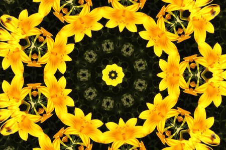 abstract background with yellow liliesの写真素材