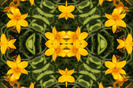 Abstract ornament with yellow liliesの写真素材