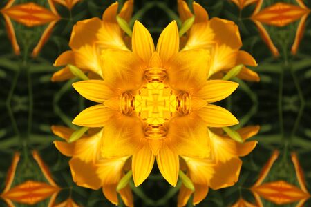 Abstract ornament with yellow liliesの写真素材