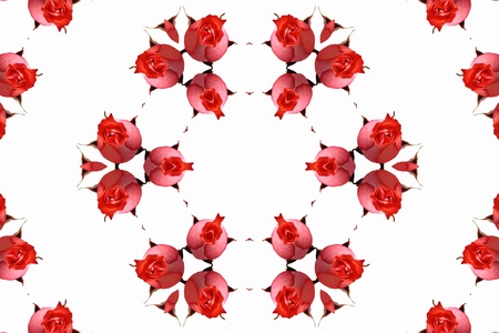 Abstract background with red roses の写真素材