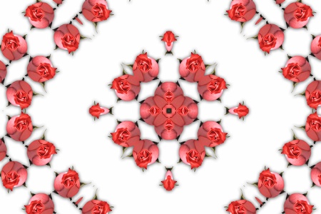 Abstract background with red rosesの写真素材