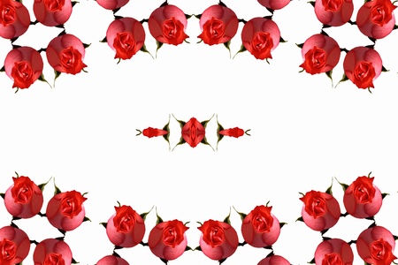 Abstract background with red rosesの写真素材