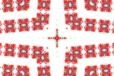 Abstract background with floating  red rosesの写真素材