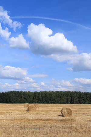 Autumn landscape: a haystack, the sky, cloudsの写真素材