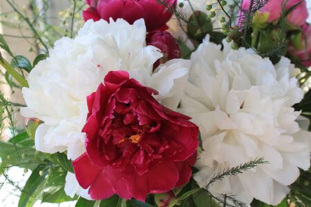 bouquet of red and white gladiolusesの写真素材