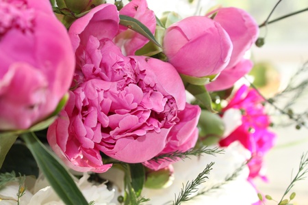 bouquet of  pink and white gladiolusesの写真素材