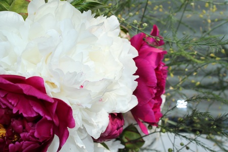 bouquet of lilac and white gladiolusesの写真素材