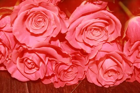Bouquet of pink rosesの写真素材