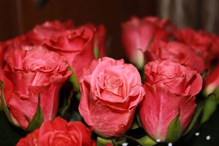 Bouquet of red rosesの写真素材