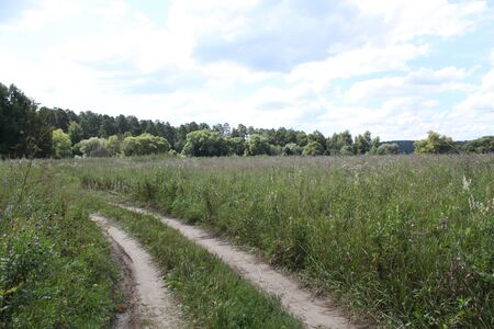 Rural road in the fieldの写真素材