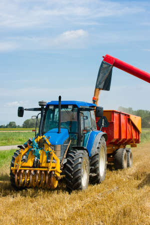 A combine tractor is harvesting the wheat on a sunny dayの写真素材