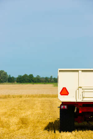 A combine tractor is harvesting the wheat on a sunny dayの写真素材