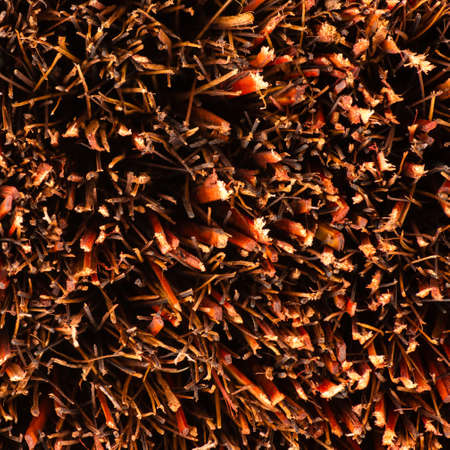 The broom with a shallow depth of fieldの写真素材