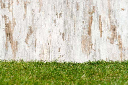 weathered wood on the meadowの写真素材