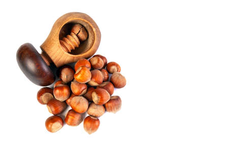 bunch of hazelnhazelnuts in shell isolated with space for textuts with shell on a white background