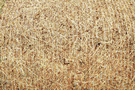tied hay roll background textureの写真素材
