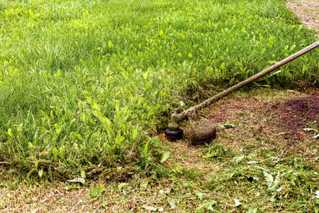 summer outdoors trimmer mows the grass