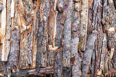 background of various pieces of tree bark