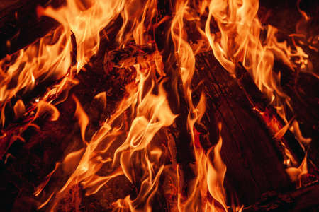 bonfire flame tongue background in the darkの写真素材